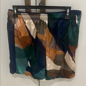 DSG multi color Blue Shorts